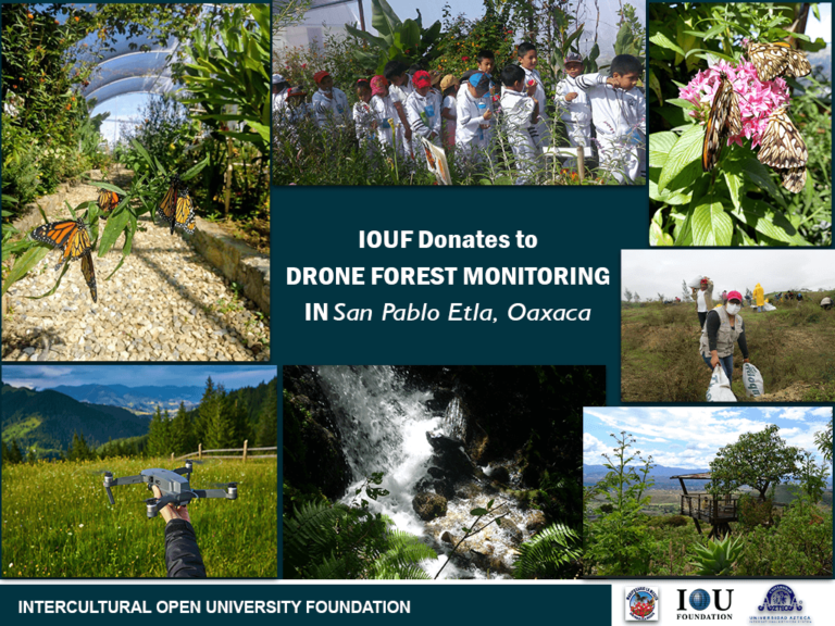 IOUF Donates to the Drone Forest Monitoring in San Pablo Etla, Oaxaca.